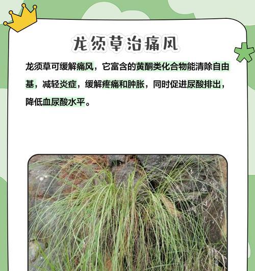 龙须植物的繁殖方法有哪些？
