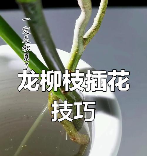光滑墙面固定插花的方法有哪些？如何确保插花的稳定性？
