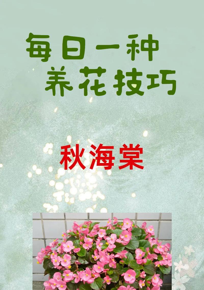 大叶海棠修剪技巧是什么？如何正确修剪大叶海棠？