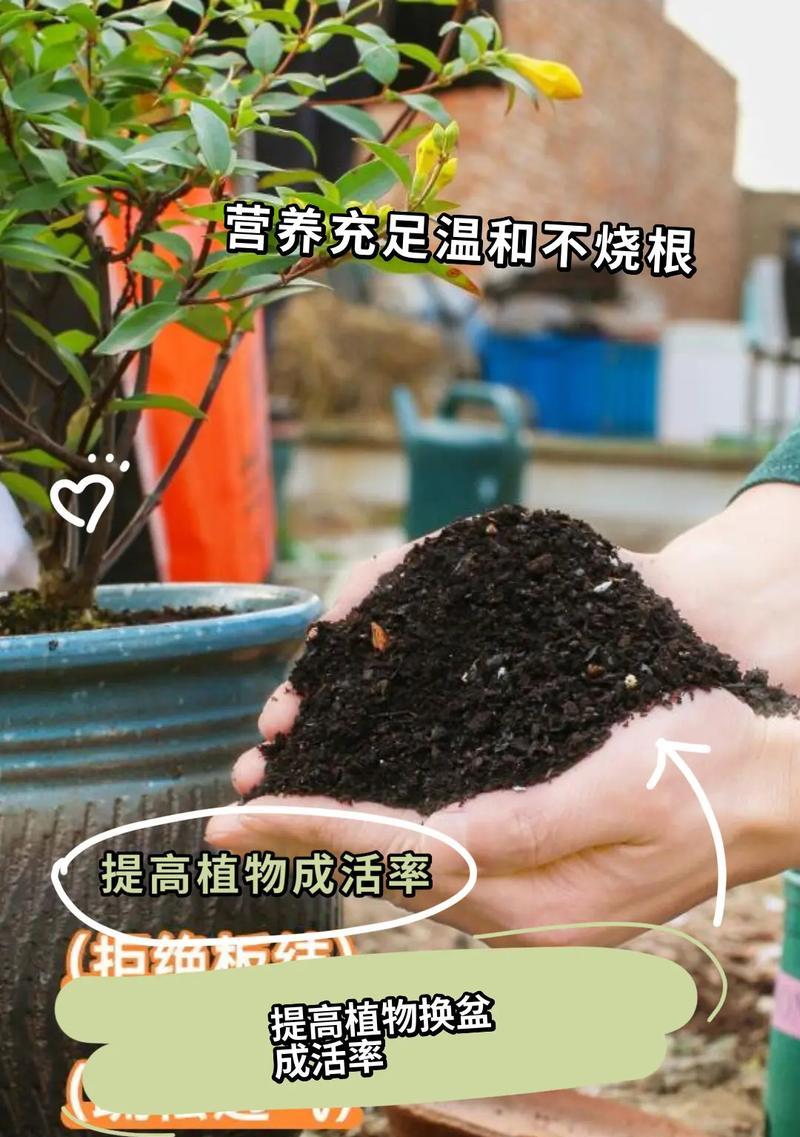 泥土如何消毒？消毒泥土有哪些有效方法？