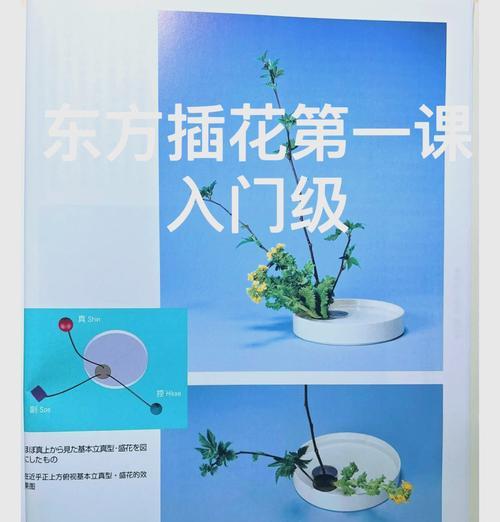 插花中常用的陪草有哪些？它们的作用是什么？