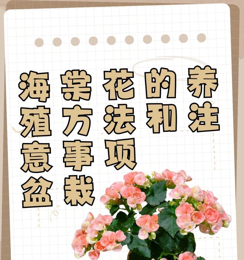 海棠花修剪的正确方法是什么？修剪后如何促进更好的生长？