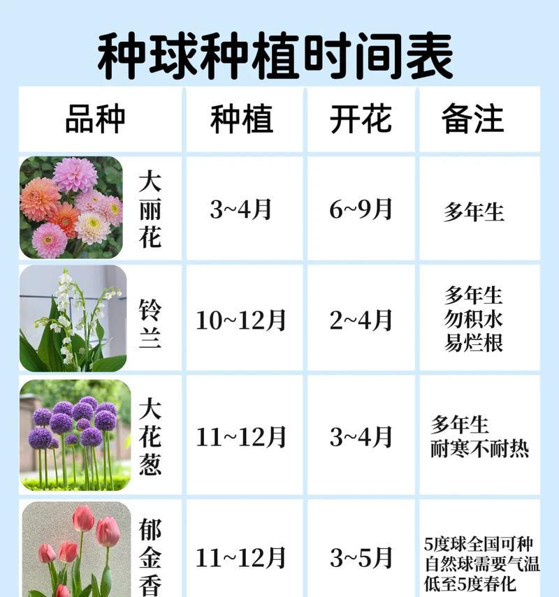 月光花的开花时间是什么时候？怎样才能延长花期？