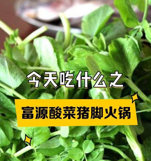 猪肉酸菜与花语有何关联？