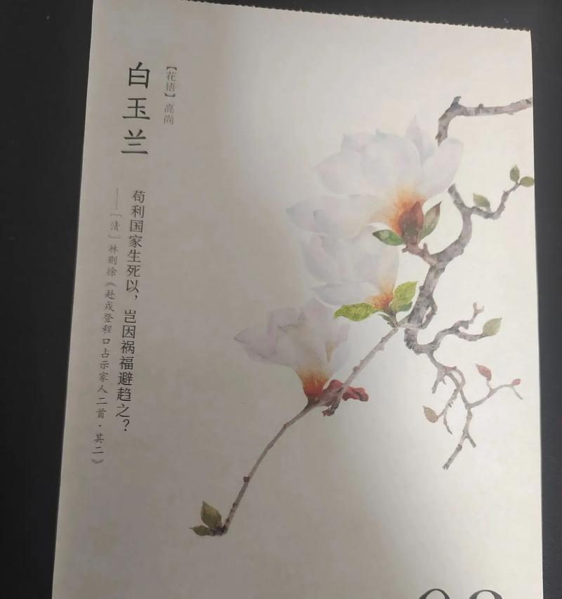 玉兰花的花语有哪些？短句形式的花语是什么？