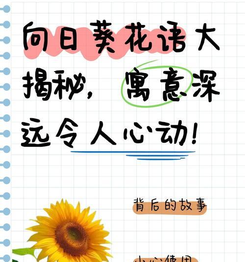 热烈自由的开放花语有何寓意？表达什么情感？