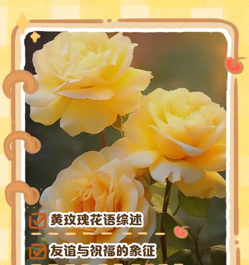 哪种花的花语代表道歉？