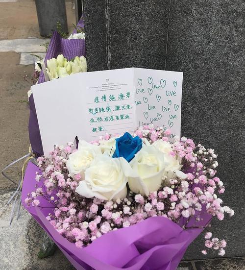 哪种花的花语代表道歉？