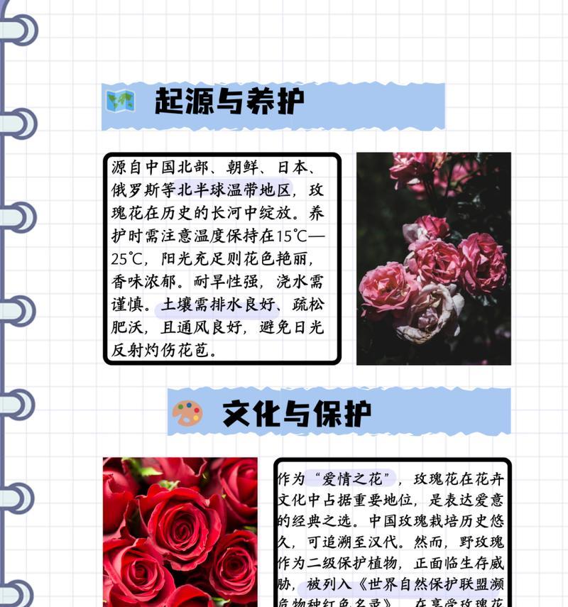 五至六月的花语是什么花？这个季节有哪些花语？