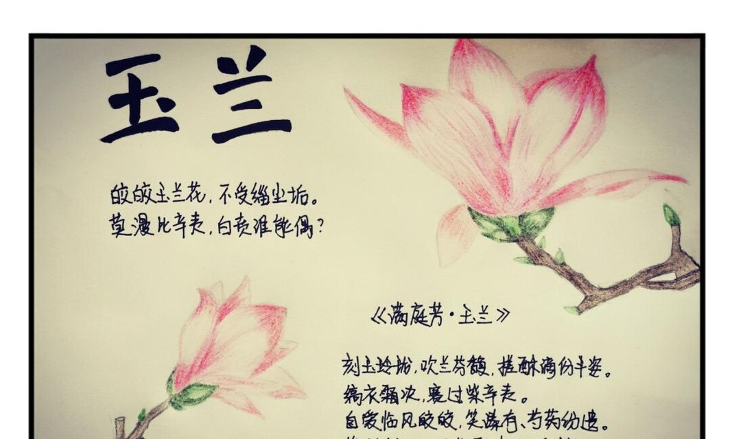 灰谷兰的花语代表什么？如何理解这种花语的含义？