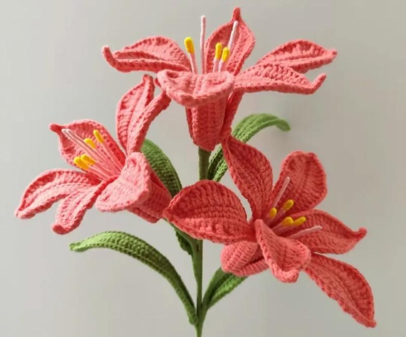 六出花朵代表哪个生肖？花语有何寓意？