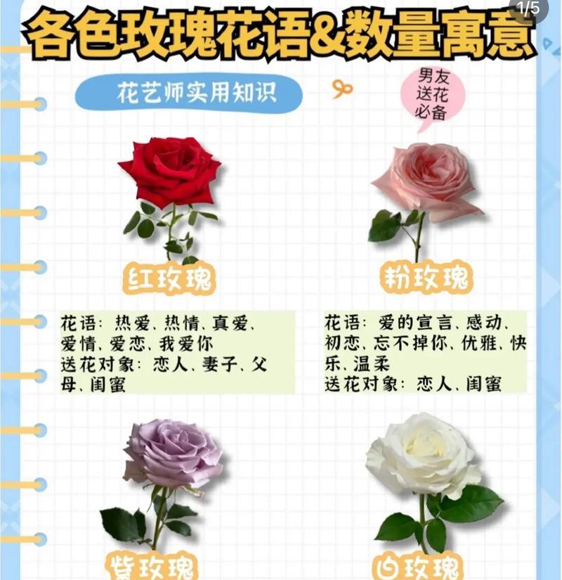 玫瑰香皂的花语有何寓意？