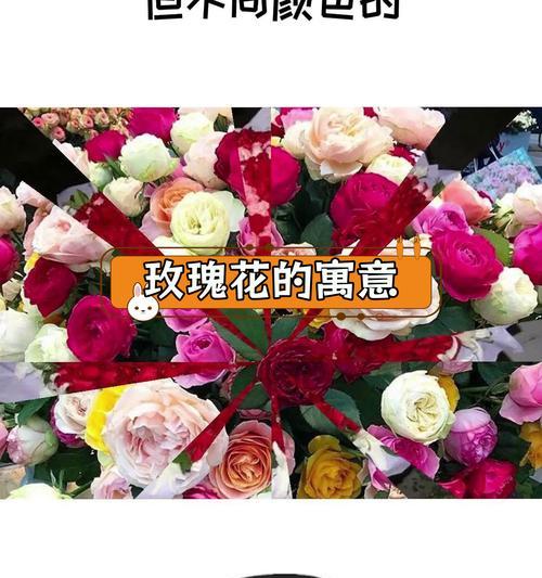 不同颜色玫瑰花在追求中的含义是什么？