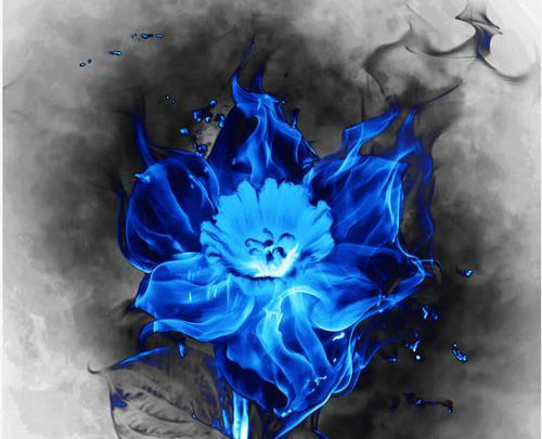 蓝色冰焰花代表什么？它的花语有何特别之处？