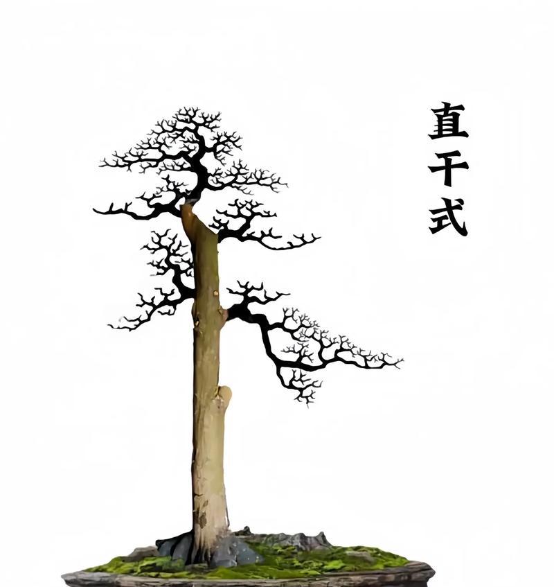 猪牙花花语寓意什么生肖？紫色菜花子花语又是什么呢？