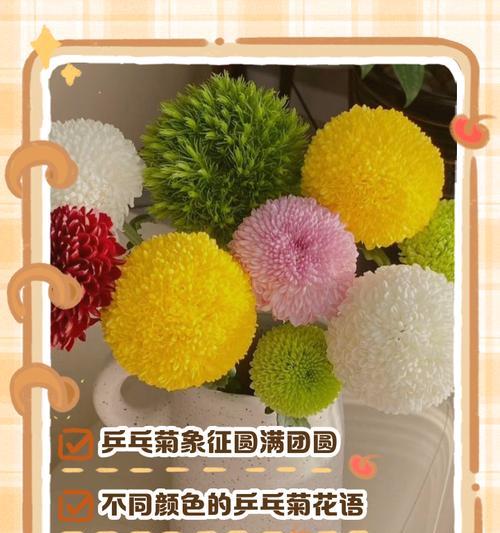 金橄榄叶的寓意和花语有何特别之处？