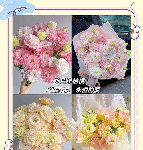 白色洋桔梗的花语有何特殊含义？