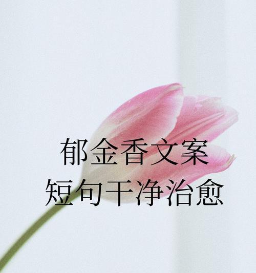 荣耀郁金香的花语有哪些？
