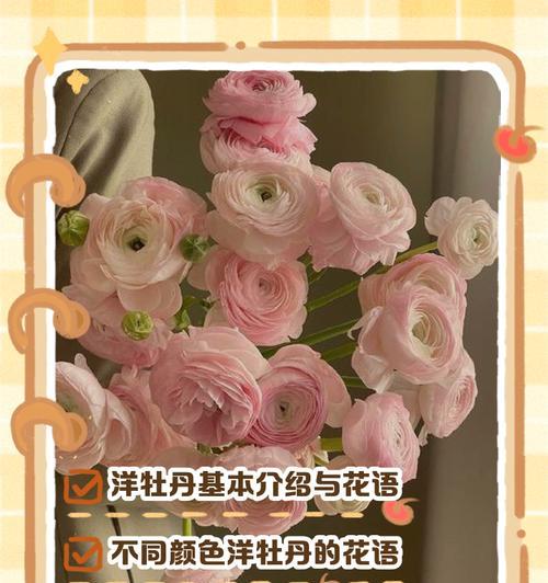 绕枝牡丹的花语代表什么？它的含义有哪些？