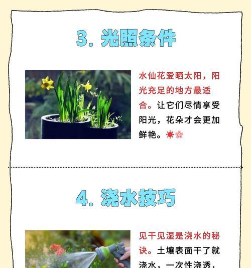 水仙花的花语及其寓意是什么？