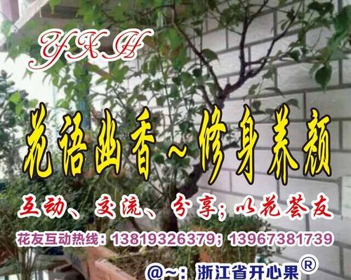 开心果与玫瑰花结合的花语是什么？