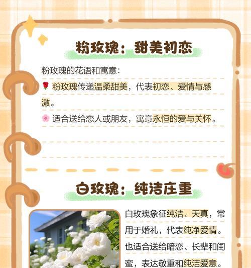 30岁收到玫瑰花有何含义？玫瑰花代表的花语是什么？