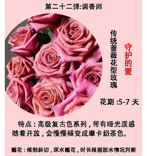 30岁收到玫瑰花有何含义？玫瑰花代表的花语是什么？