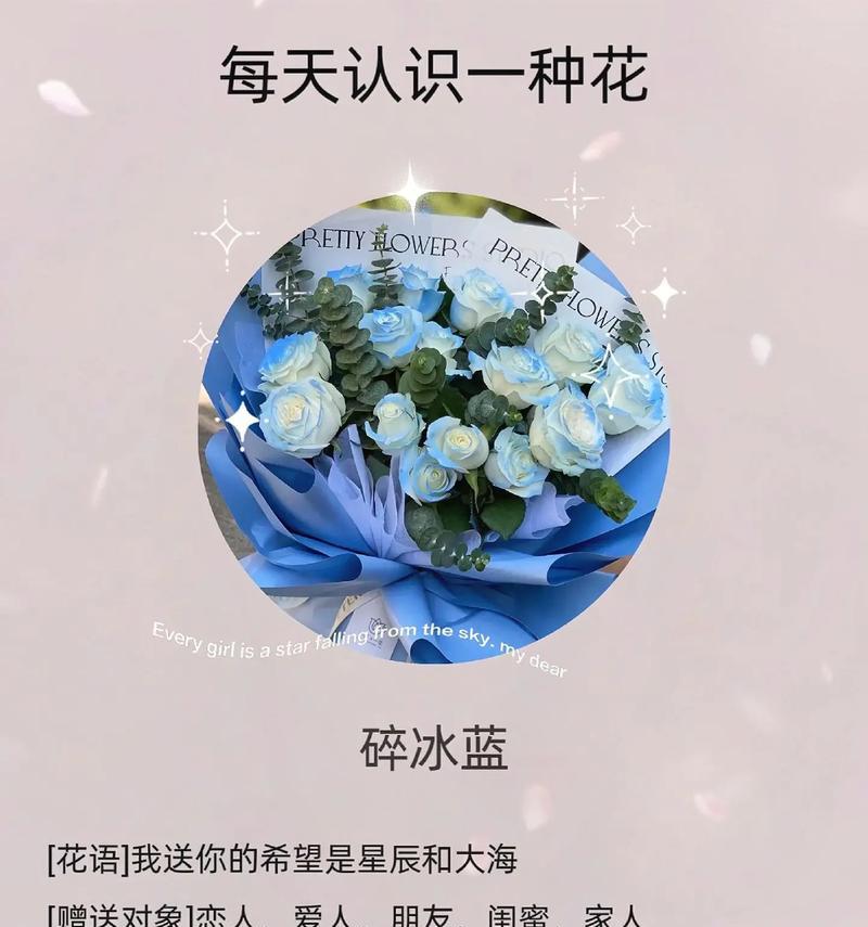 送儿子玫瑰花时应该选择哪种花语？