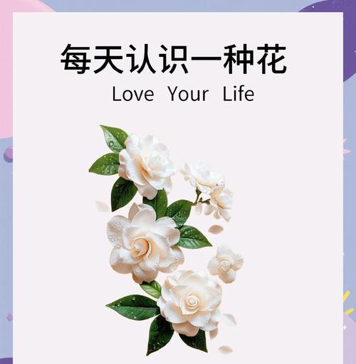 山栀花的花语代表什么？