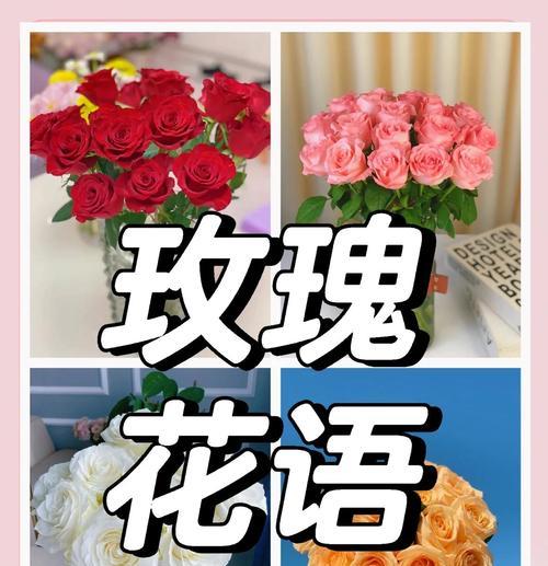 15朵玫瑰花的花语有哪些？送花时的寓意是什么？