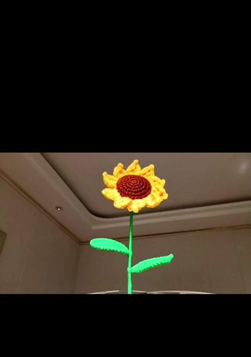 蛋仔琳琅的花语是什么？蛋仔琳琅代表什么？