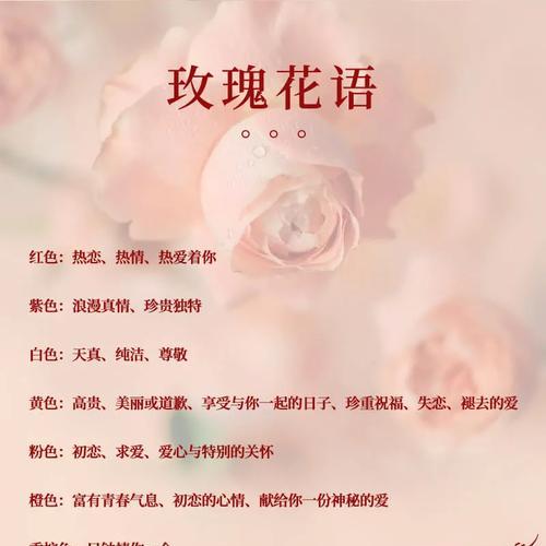 送妈妈花束的花语有哪些含义？