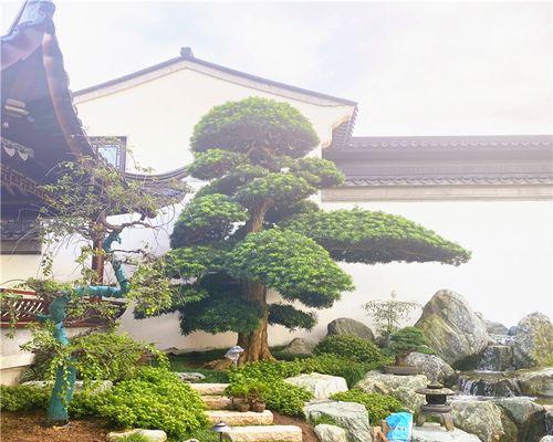 独特花语尊享版是什么意思？它有何特别之处？