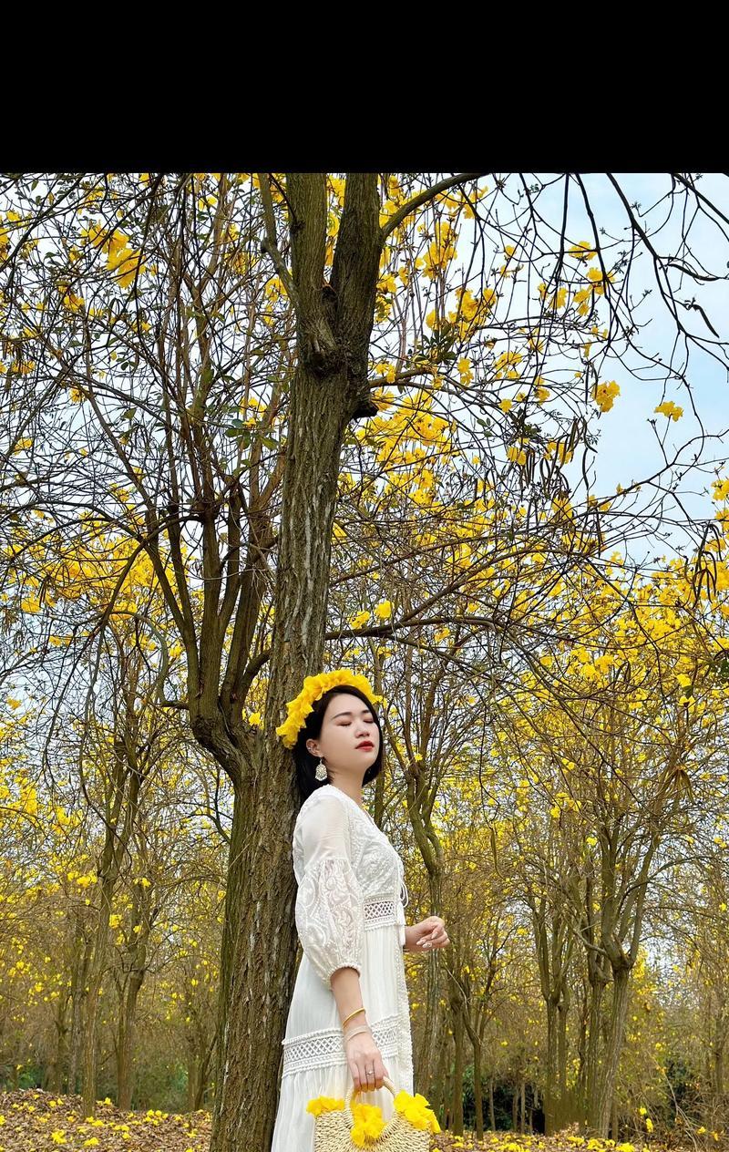 风铃花香水的花语是什么意思？它传达了哪种情感？