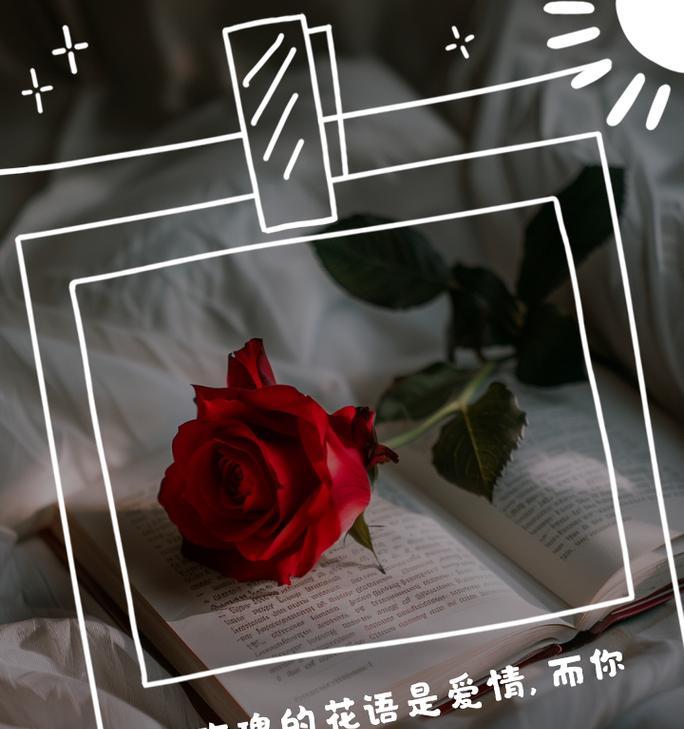 什么花语是初念的爱情句子？初念爱情花语有哪些？