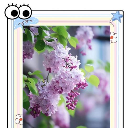 什么花语是初念的爱情句子？初念爱情花语有哪些？