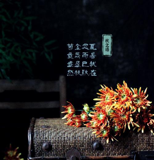 菊花语代表了什么？它有哪些深层含义？