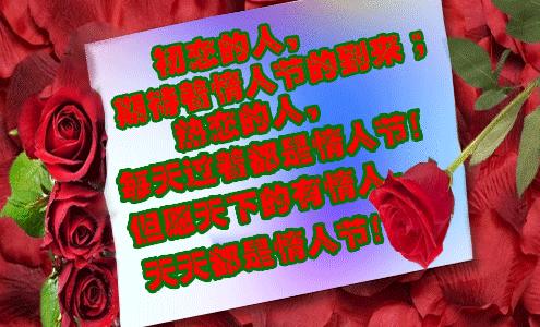 天天送玫瑰花的小伙想表达什么？