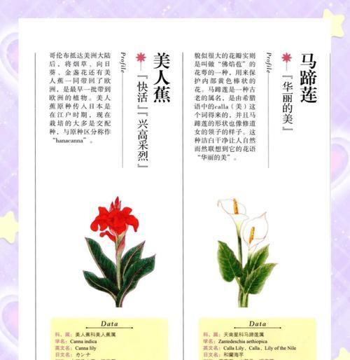 花语名字的由来是什么？花语的起源是什么？