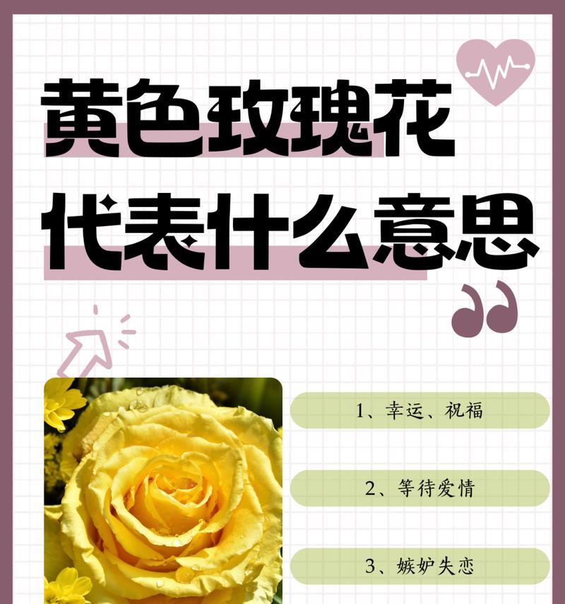 19朵玫瑰花的含义是什么？送女人有何特殊含义？