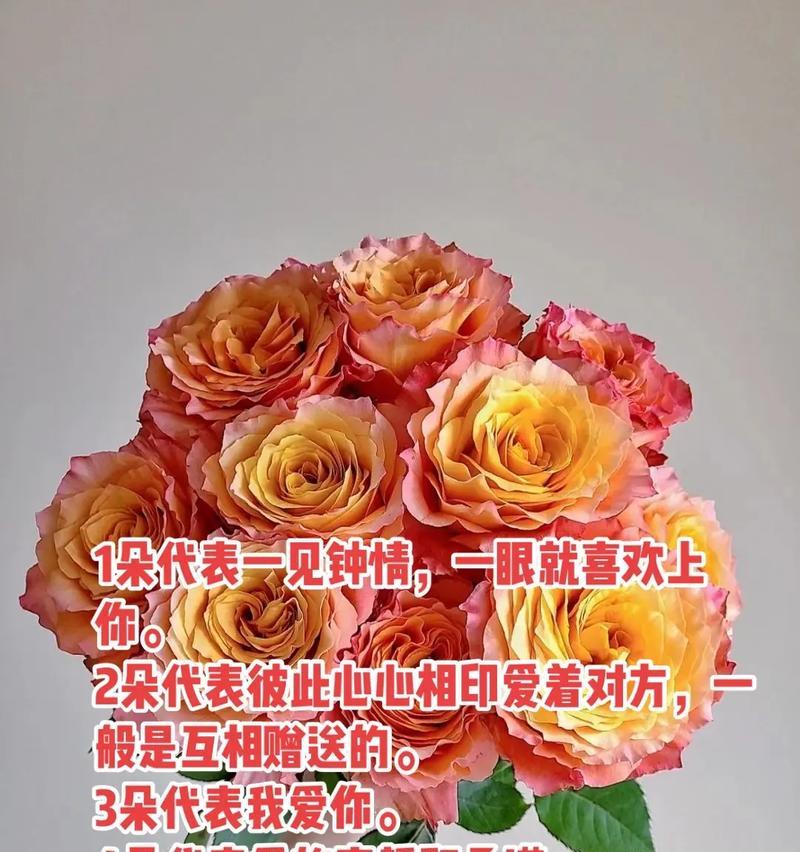 19朵玫瑰花的含义是什么？送女人有何特殊含义？