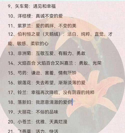 老婆送的花代表什么？花语中隐藏的情感信息是什么？