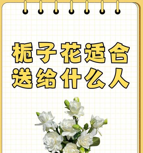 紫栀子花语代表什么？其寓意有哪些？