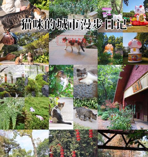 暖风绿树花语代表什么？它在表达怎样的情感？