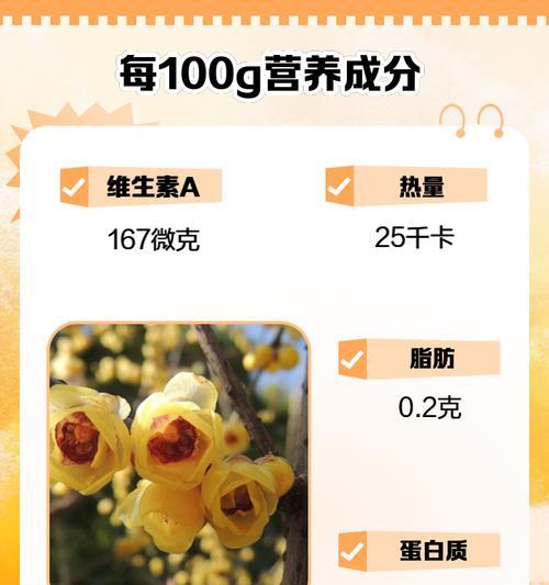 蜡梅的花语有哪些？它还有哪些特别的功效？