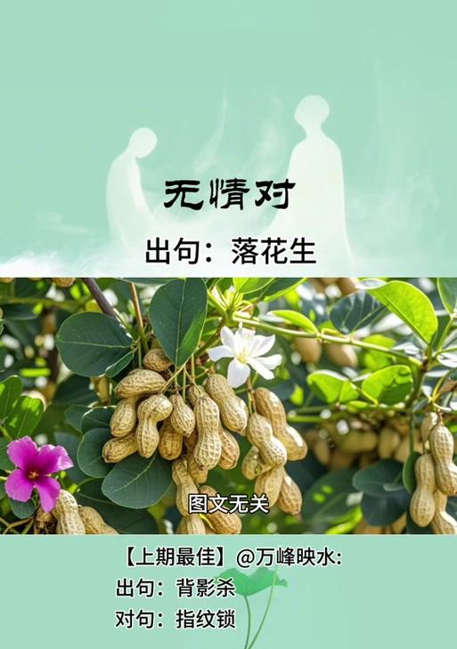 花生种植的花语有哪些？