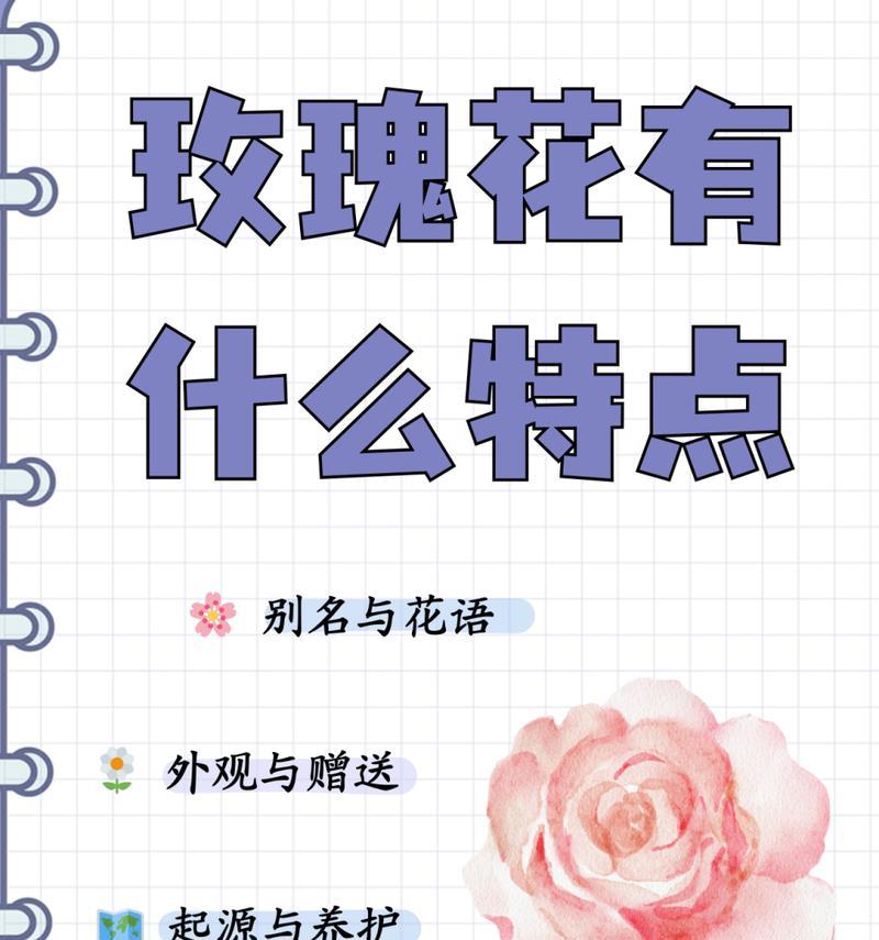 简单花的寓意是什么？简单花的花语有哪些？