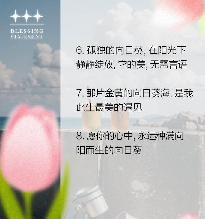 向日葵的花语不离不弃是什么意思？向日葵的含义有哪些？