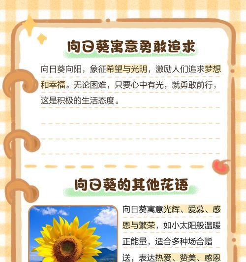 道具花语之谜是什么？如何解读花语背后的含义？
