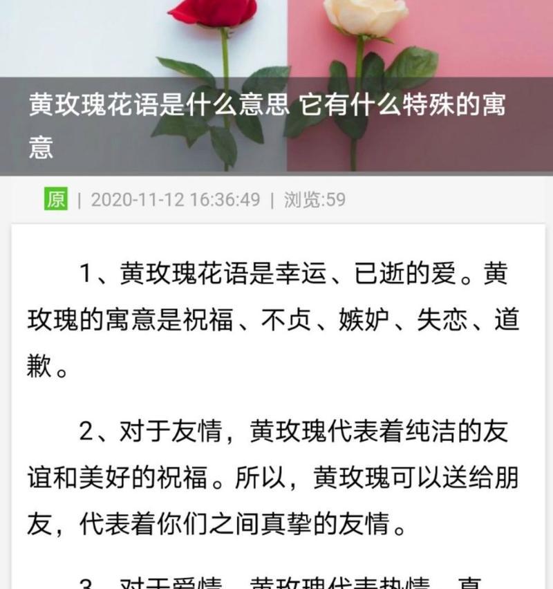玫瑰花特殊寓意是什么？卖苹果祝福老板的花语又是什么？